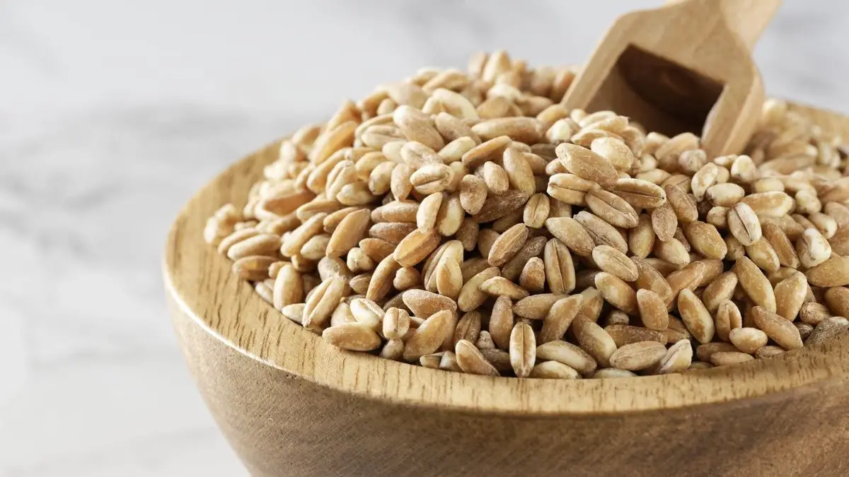 What Is Farro?