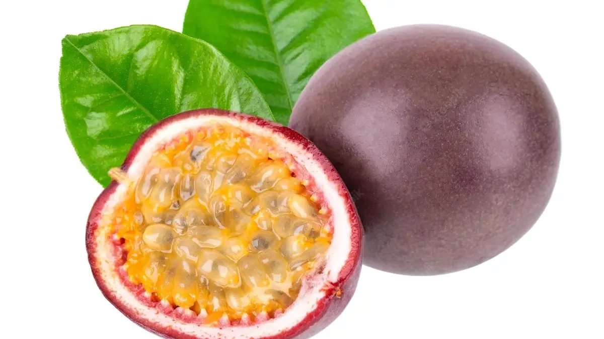 What Is Passion Fruit?
