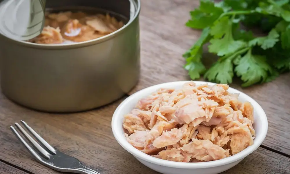 How to Tell if Canned Tuna is Bad? - Cully's Kitchen