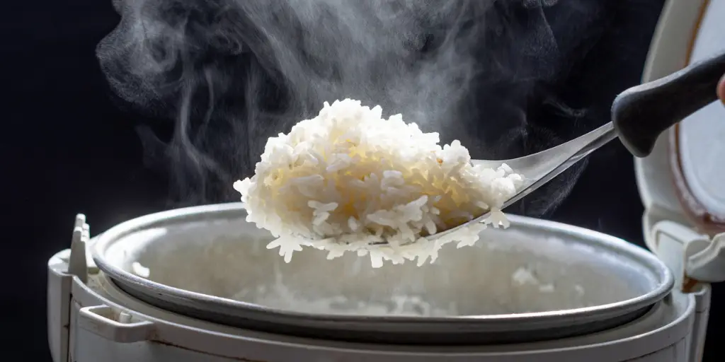 rice (2)