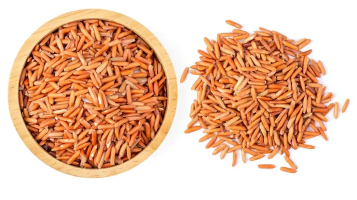 How to Tell If Brown Rice is Bad 