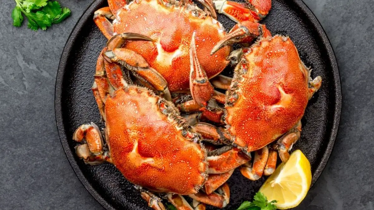 How to Tell if Crab Is Bad?