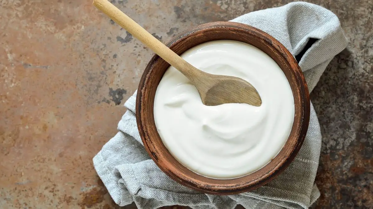 Is Greek Yogurt Good for You 