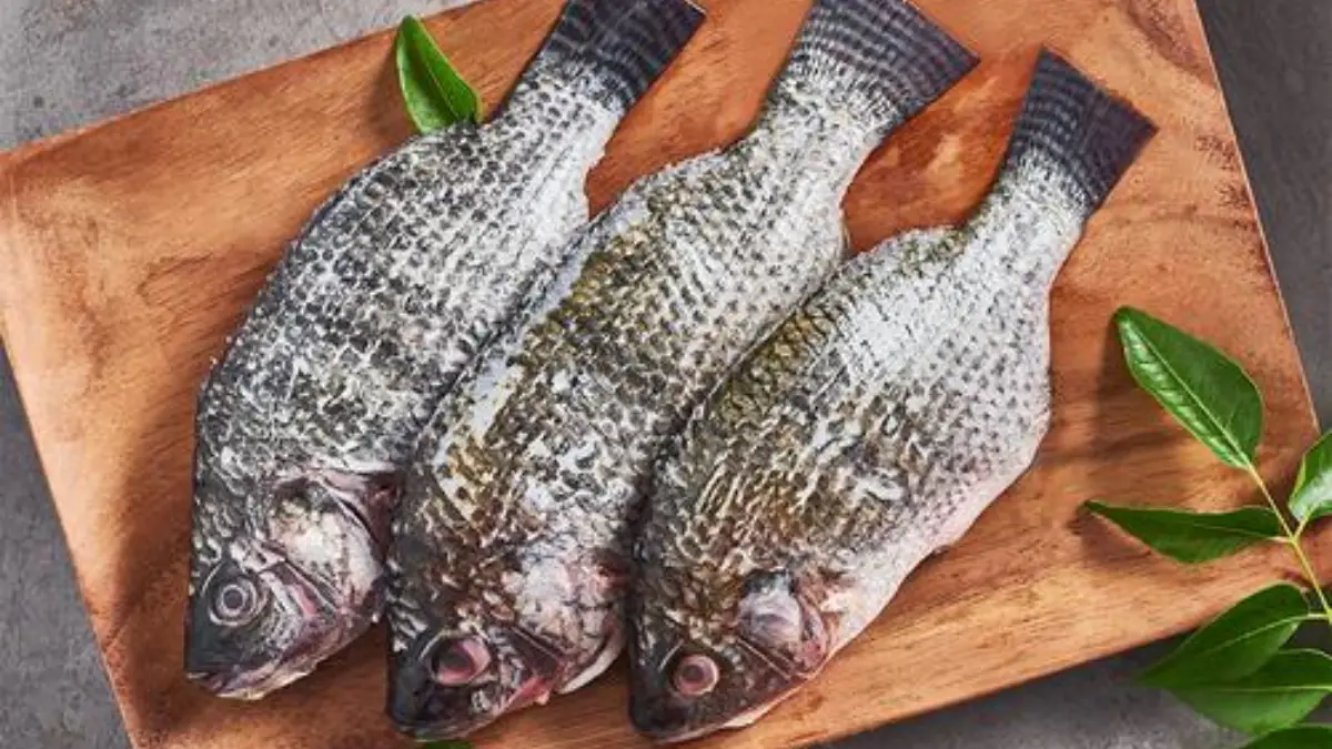 How to Cook Tilapia? Cully's Kitchen