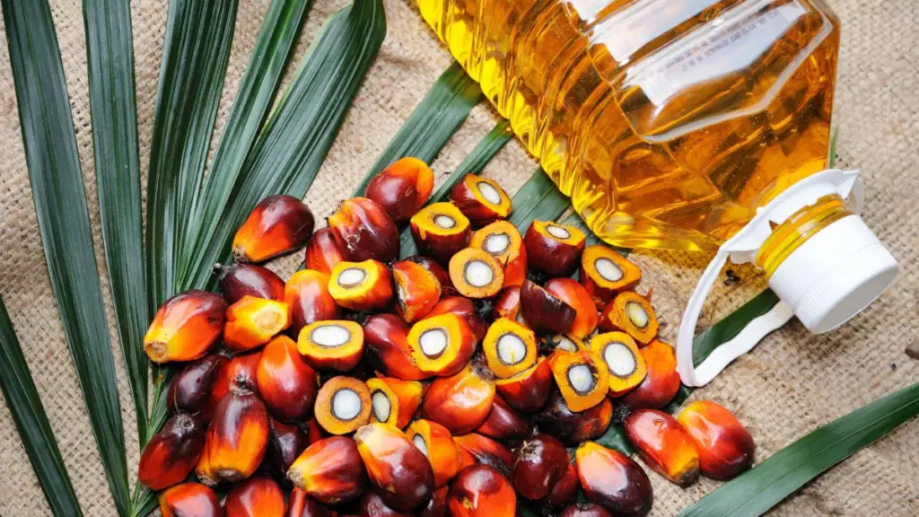 Palm Oil Nutrition Facts