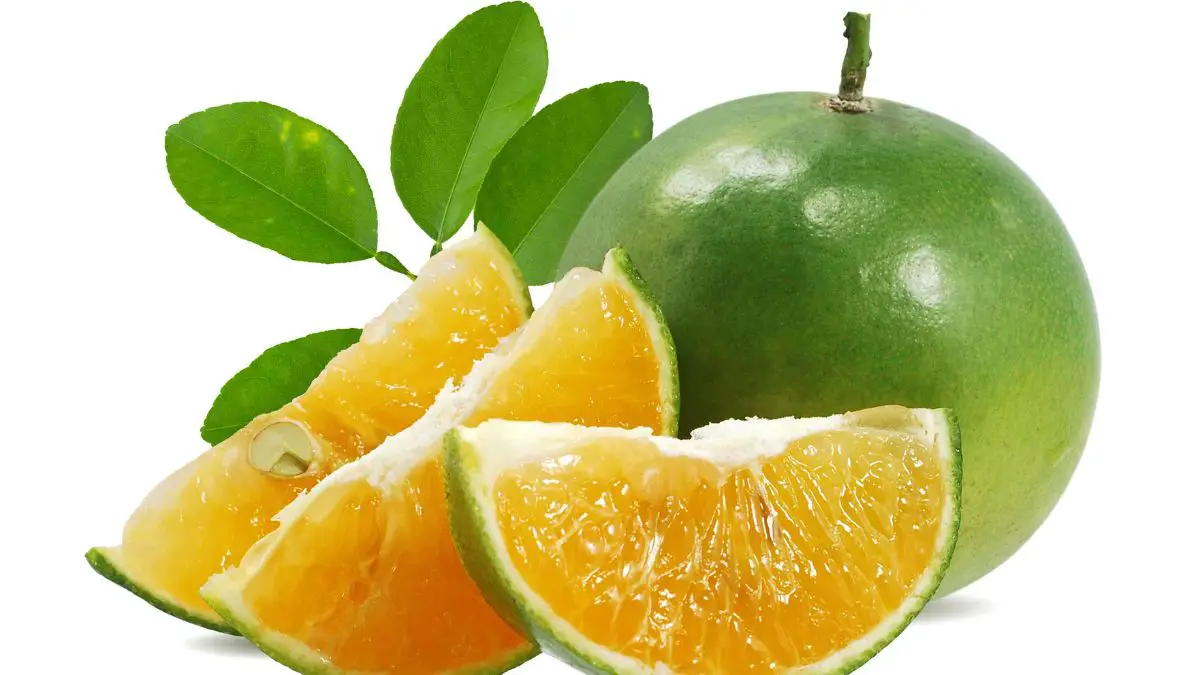 What Are Calamansi Limes