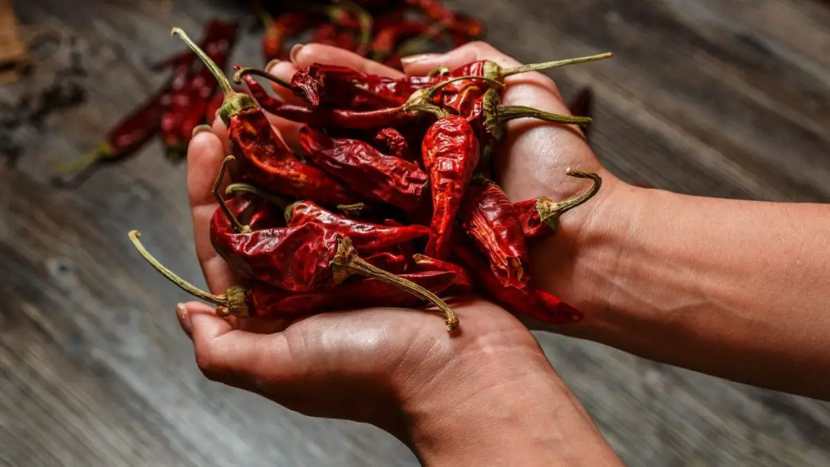 What Are Chipotle Peppers