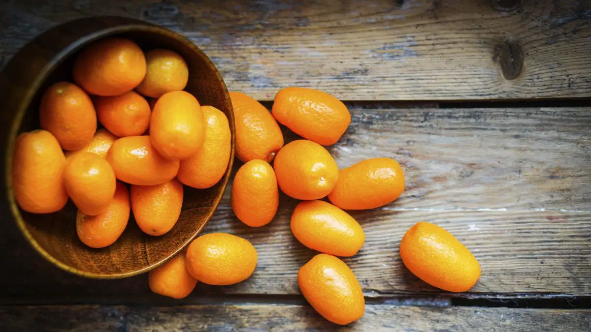 What Are Kumquats 