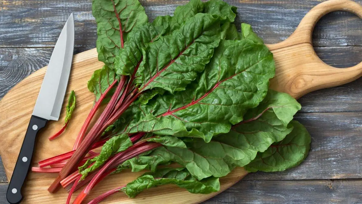 What Is Chard?