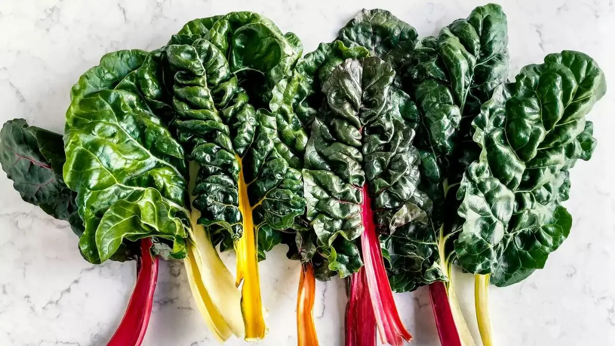 What Is Chard?