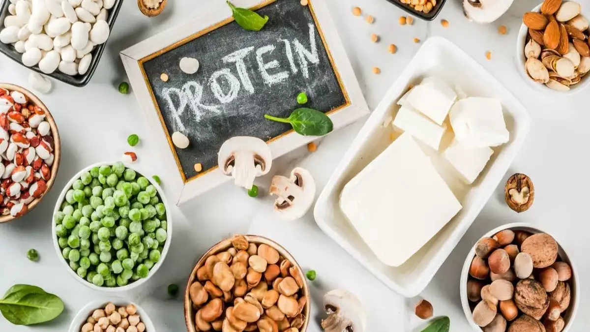 What Is Plant Protein 