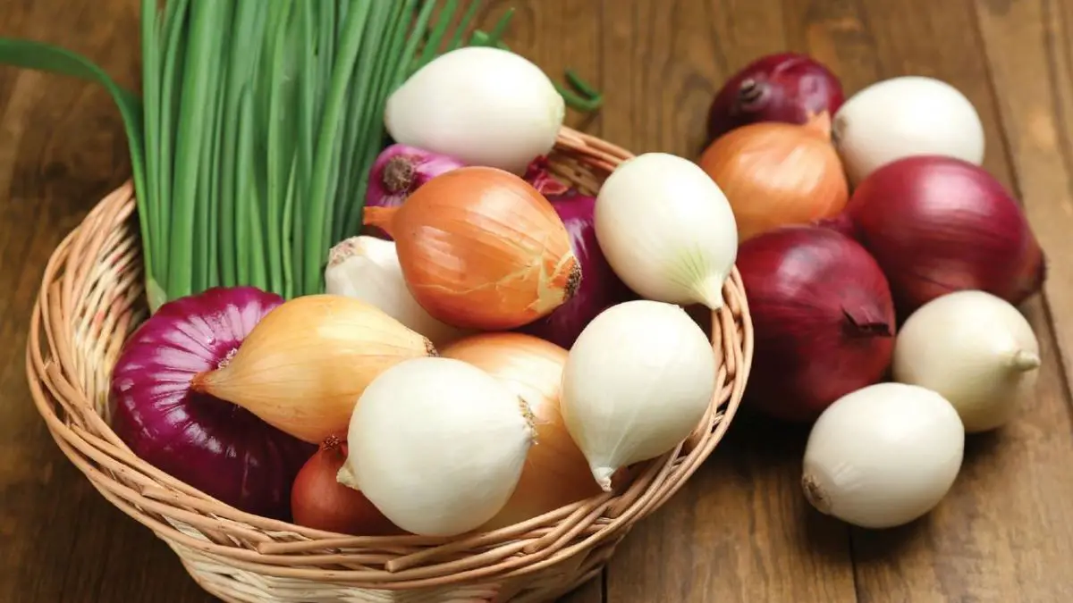 7 Different Types of Onions