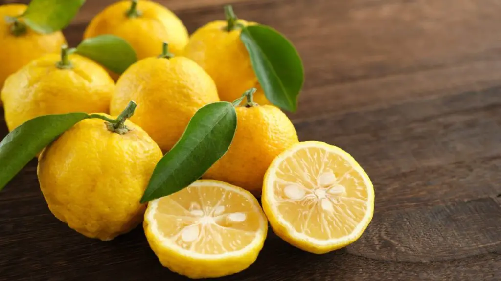 Are There Health Benefits to Eating Yuzu Fruit?