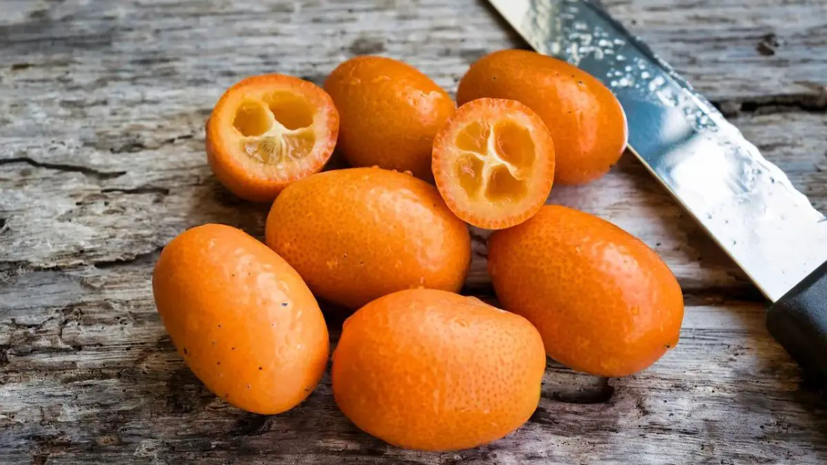 How To Tell If Kumquat Is Bad 