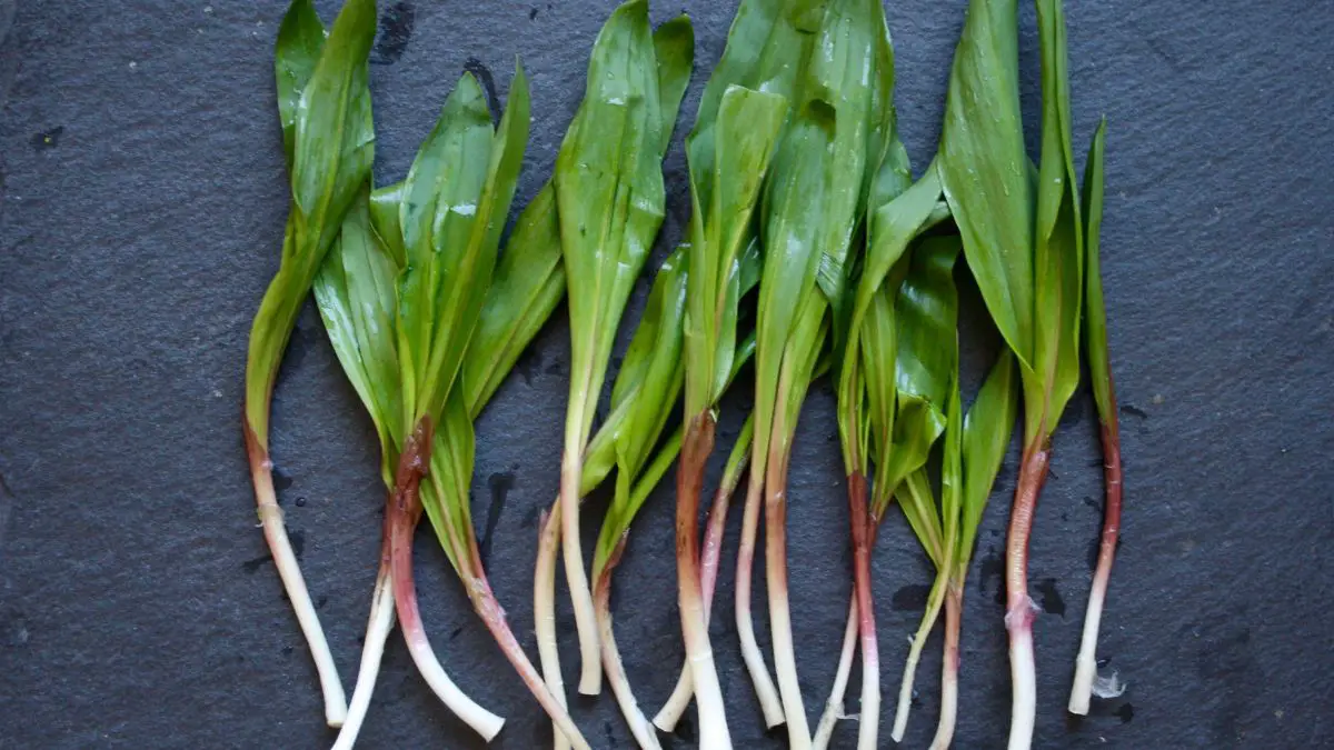 How to Cook Ramps
