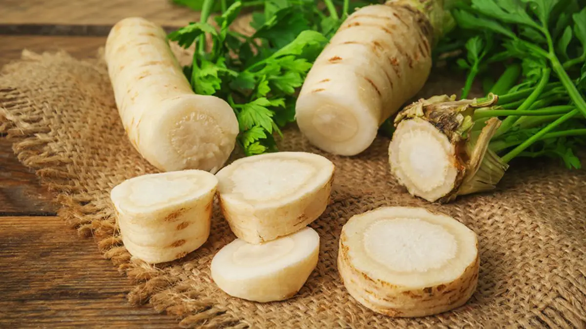 How to Select and Store Parsnips 