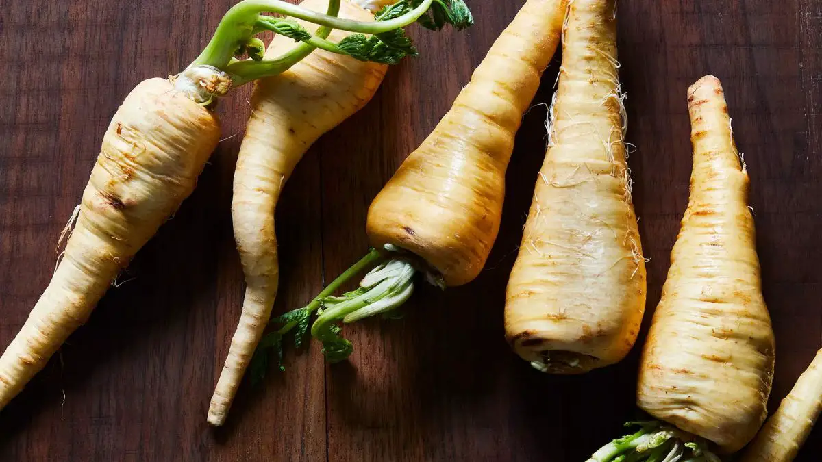 How to Select and Store Parsnips