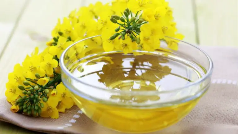 How to Tell If Canola Oil is Bad