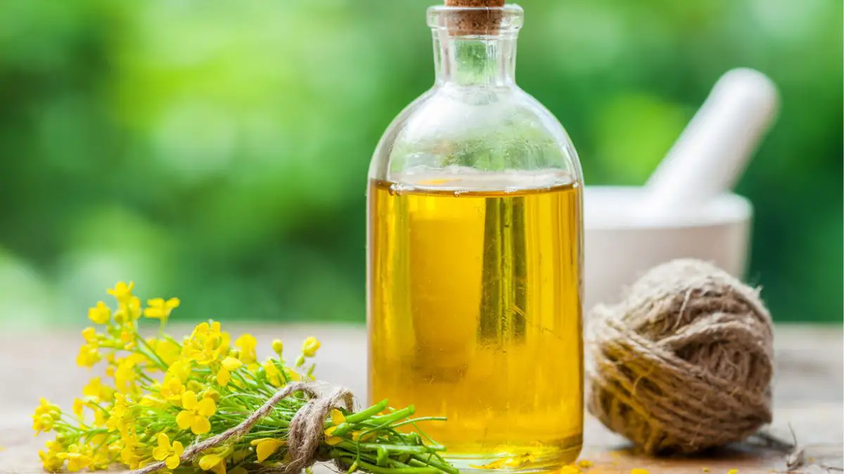 How to Tell If Canola Oil is Bad