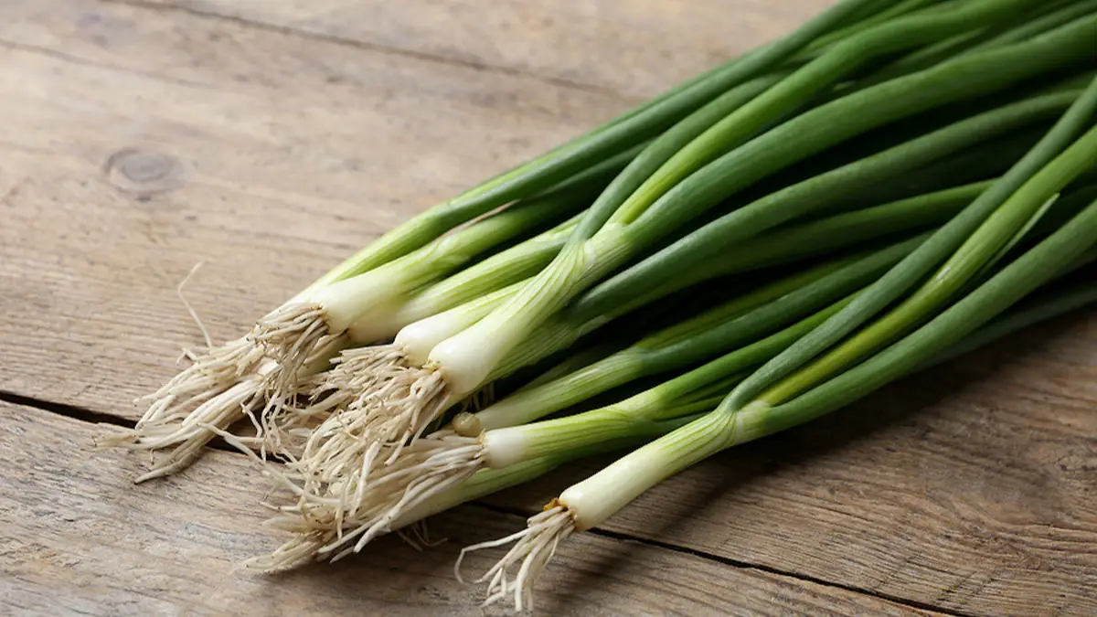 Spring Onion Nutrition Facts - Cully's Kitchen