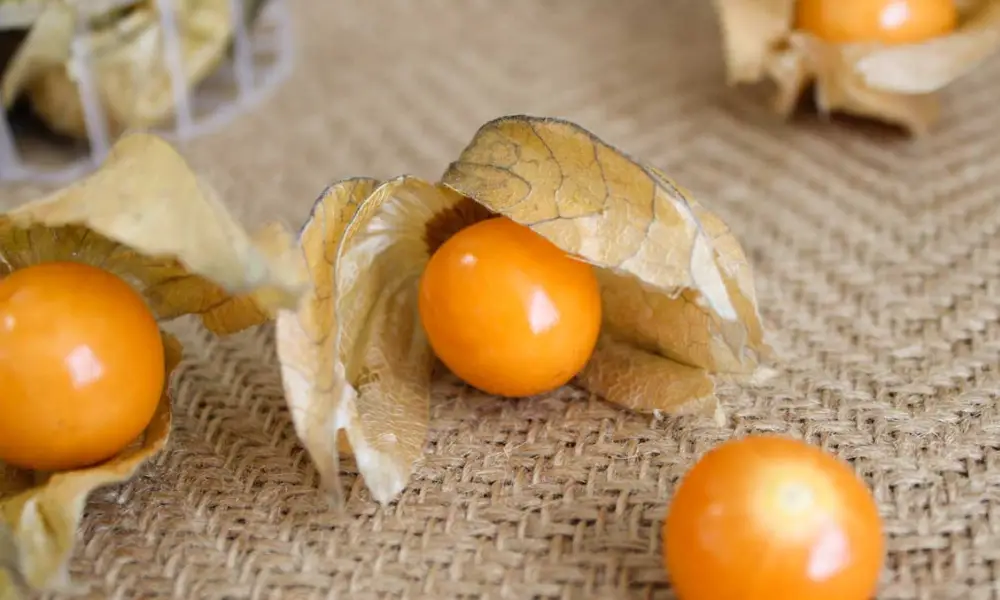 What are Golden Berries? Cully's Kitchen