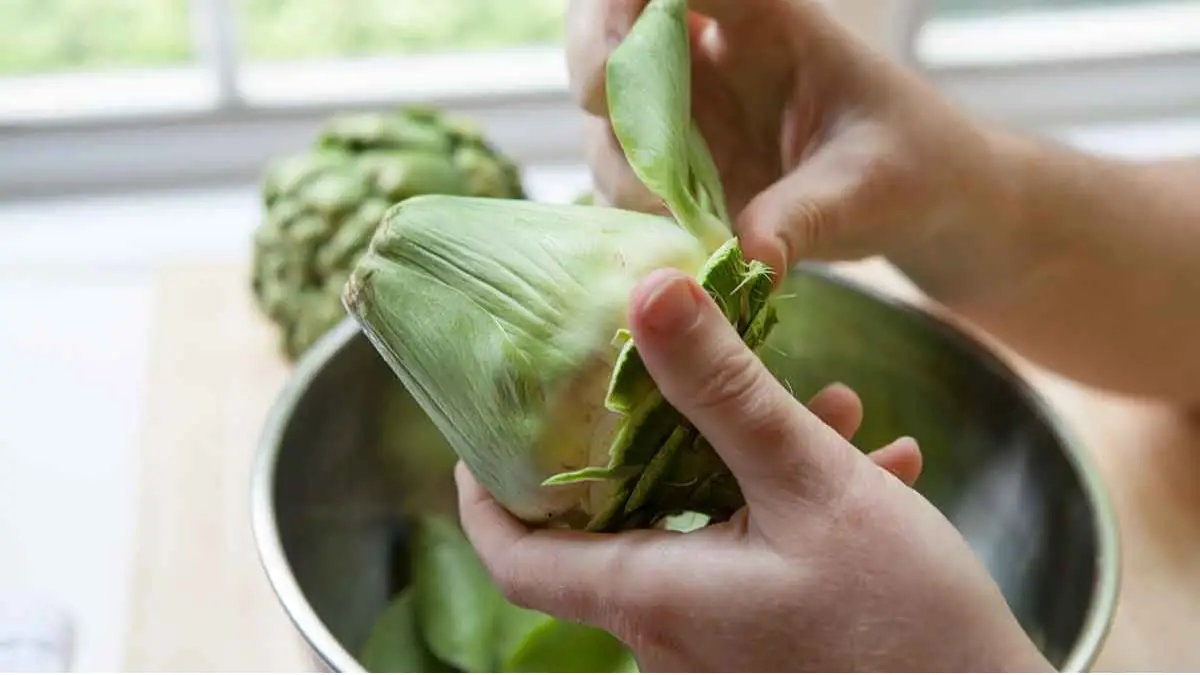 artichoke-nutrition-facts-cully-s-kitchen