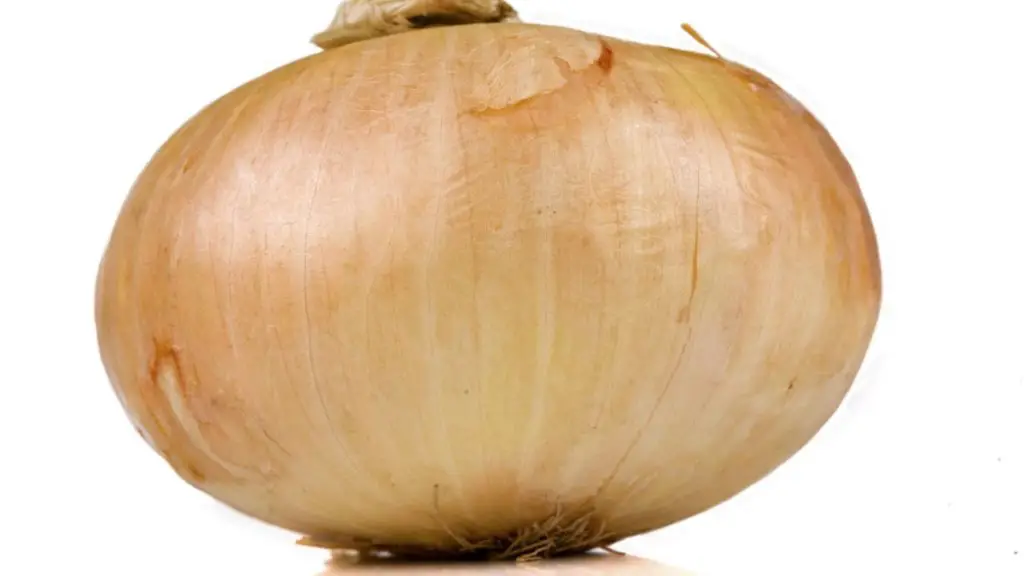 What Are Vidalia Onions