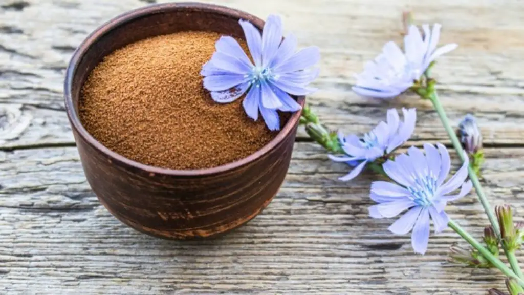 What Is Chicory Coffee?