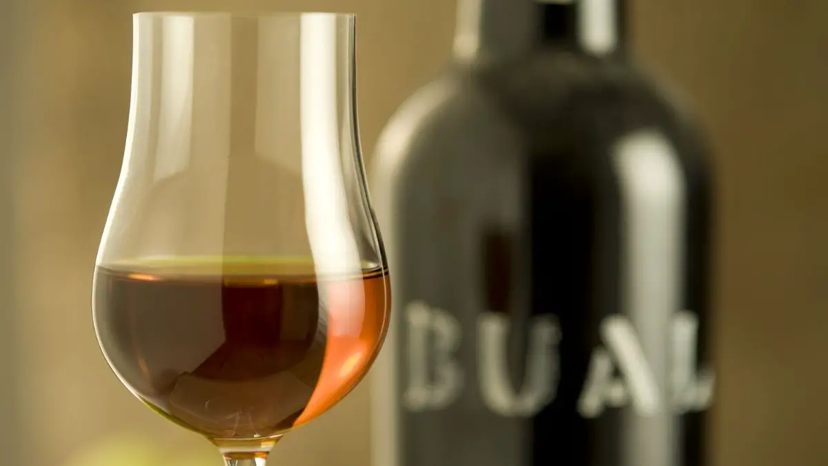 What Is Madeira Wine?