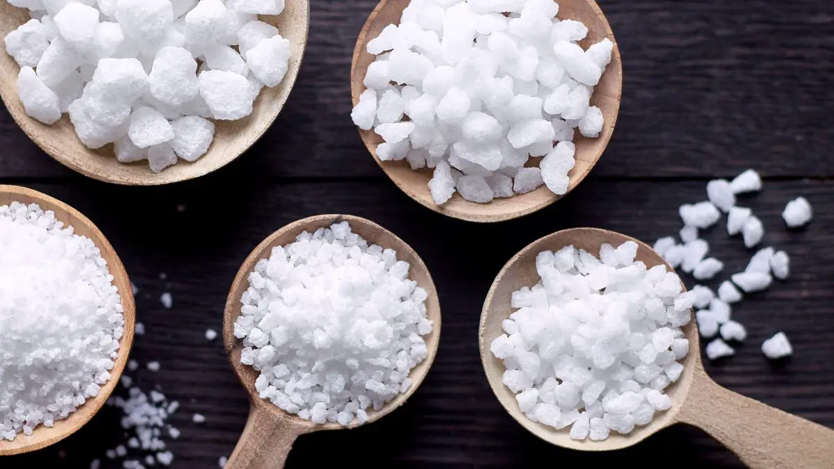 What Is Pearl Sugar 