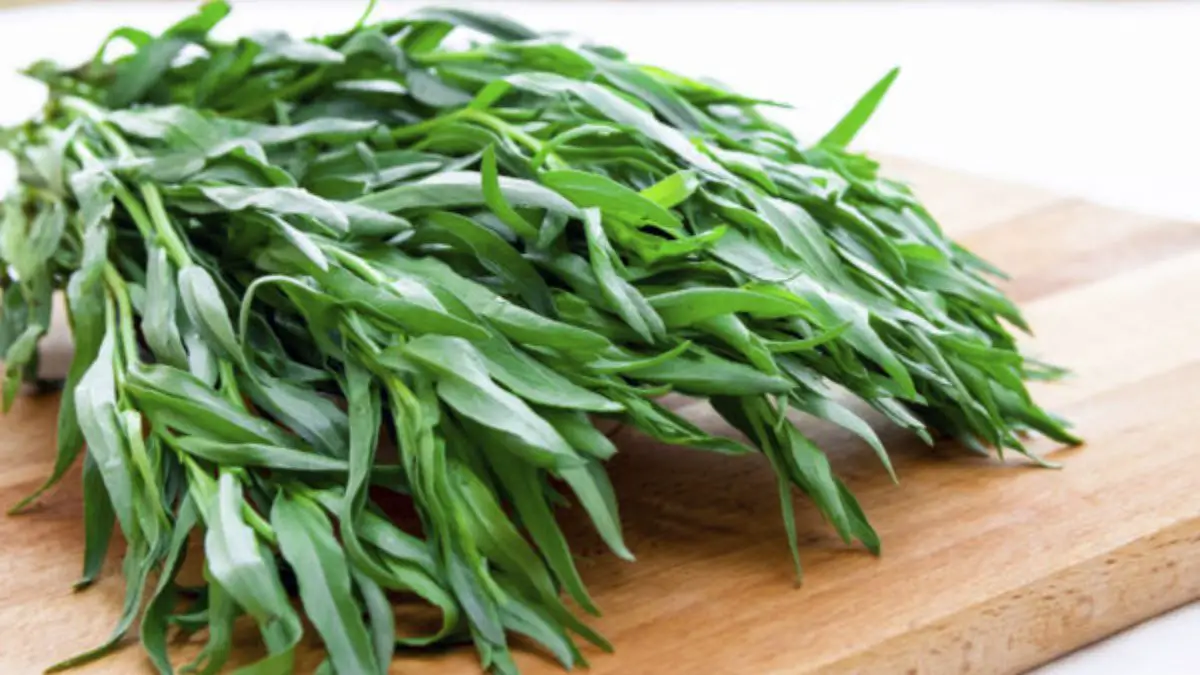 What Is Tarragon