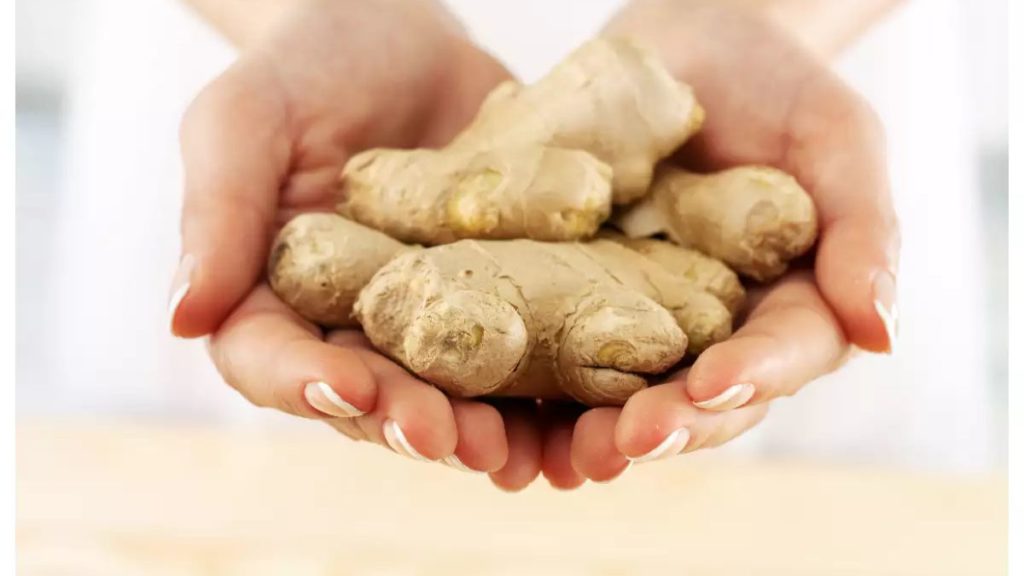 What is the Difference Between Galangal and Ginger?