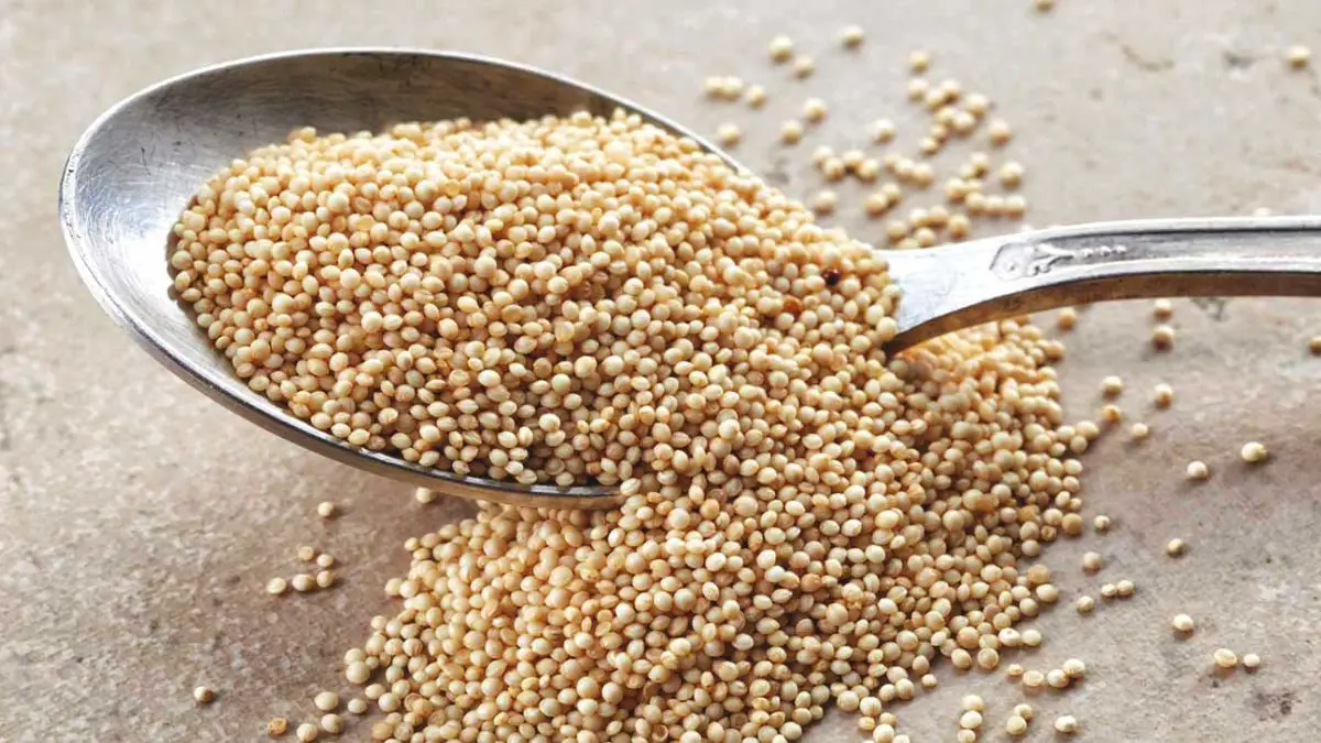 What Is Amaranth?