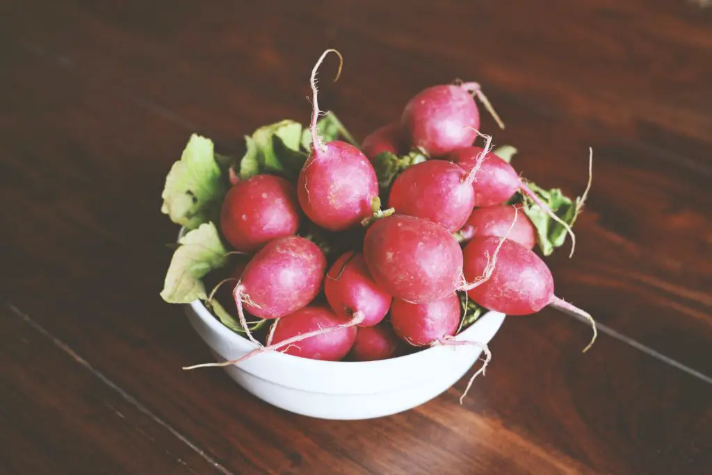 What Are French Breakfast Radishes?