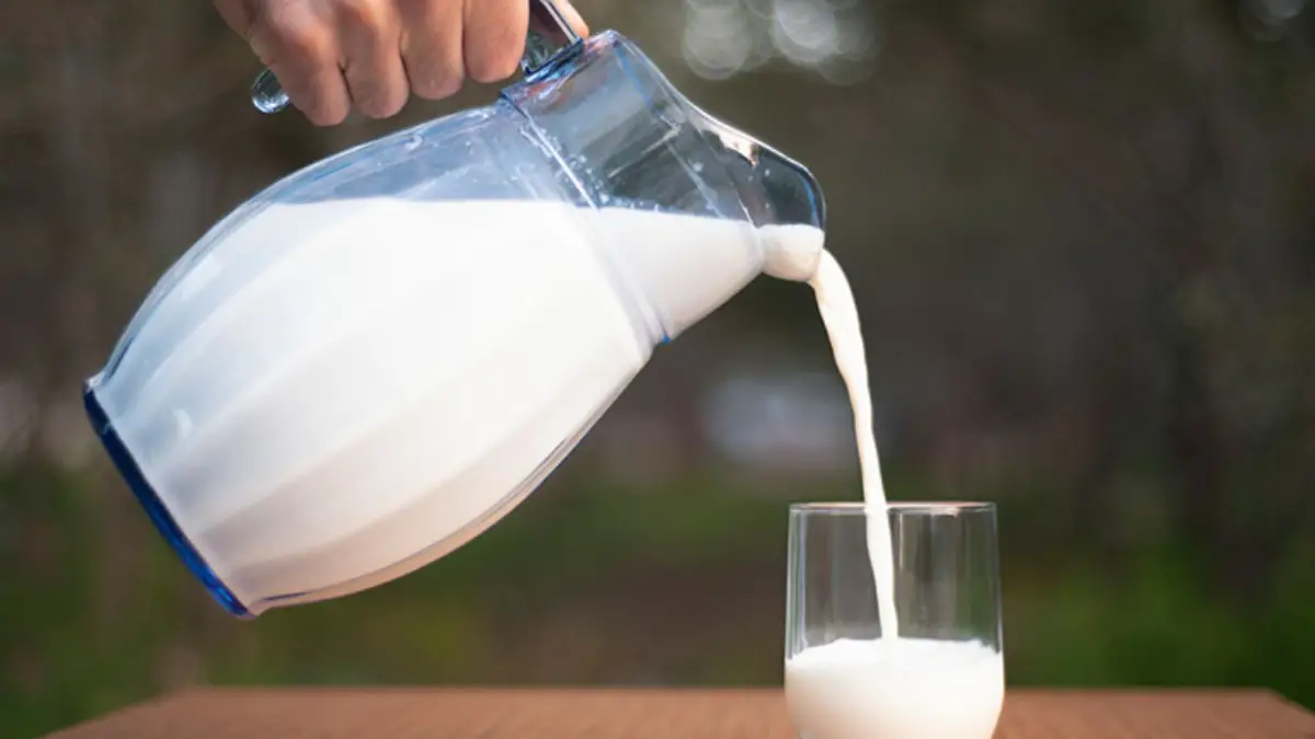Pasteurize Milk