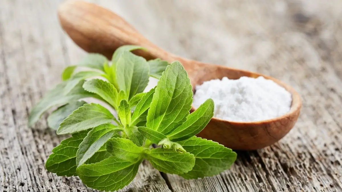 What Is Stevia