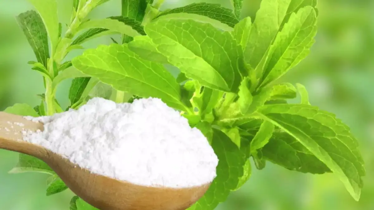 What Is Stevia