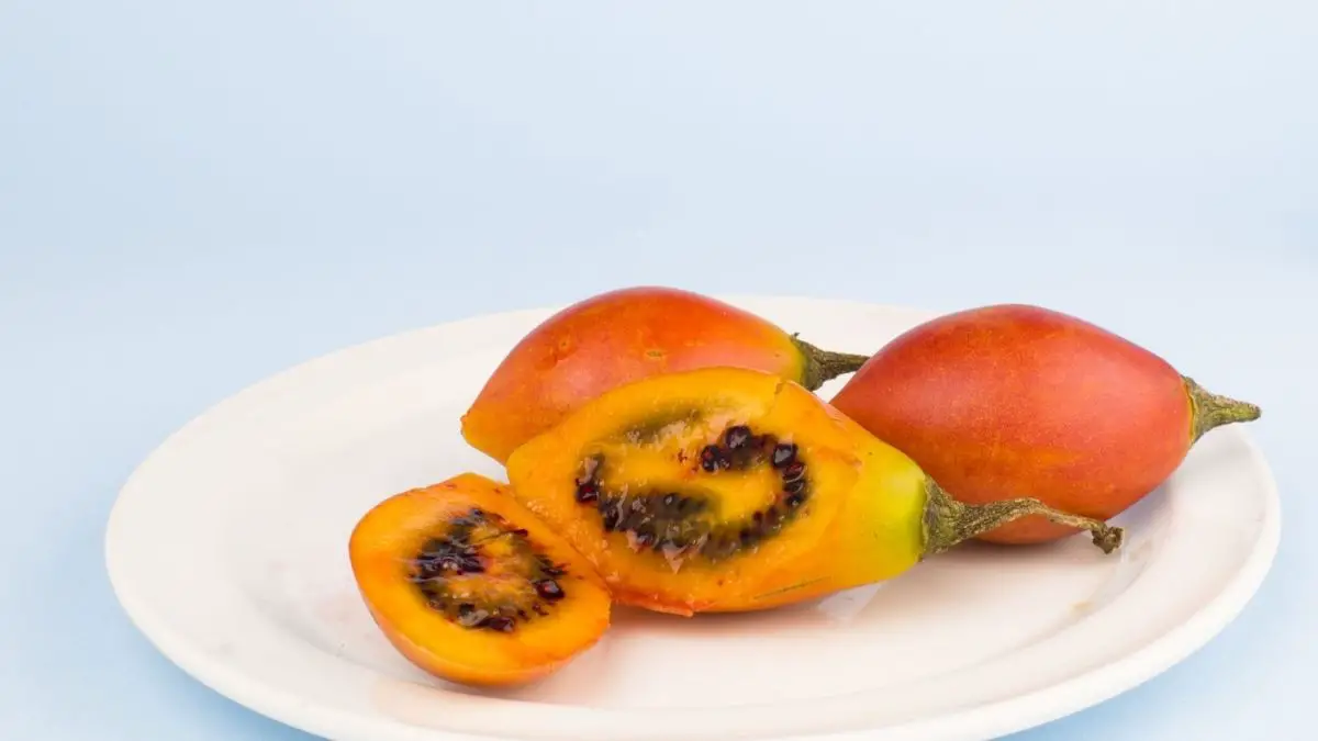 What Is Tamarillo 