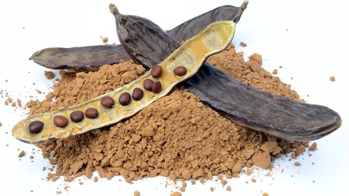 What is Carob? 