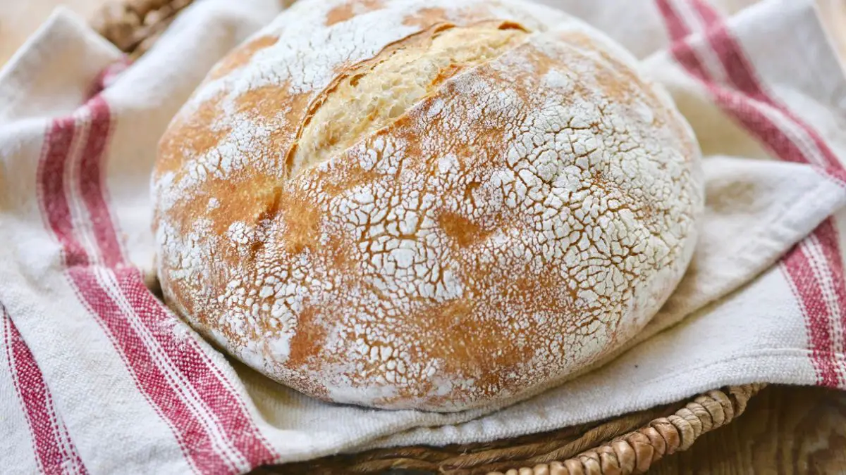 Sourdough Bread is Good for you?