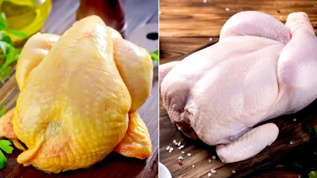 What is the Difference Between Turkey & Chicken? Cully's Kitchen