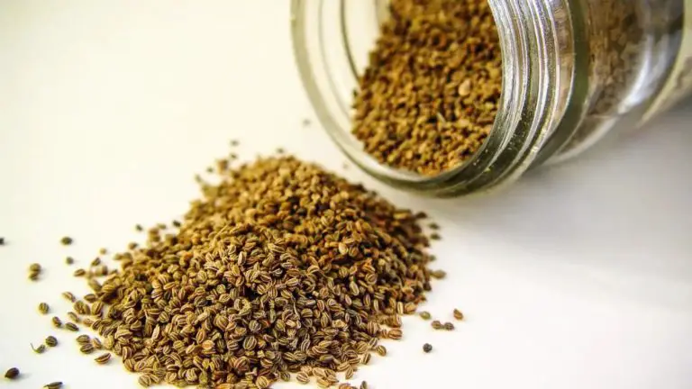 What Is Celery Seed