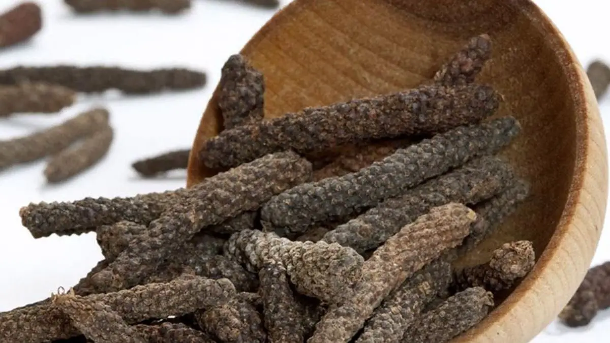 What Is Long Pepper