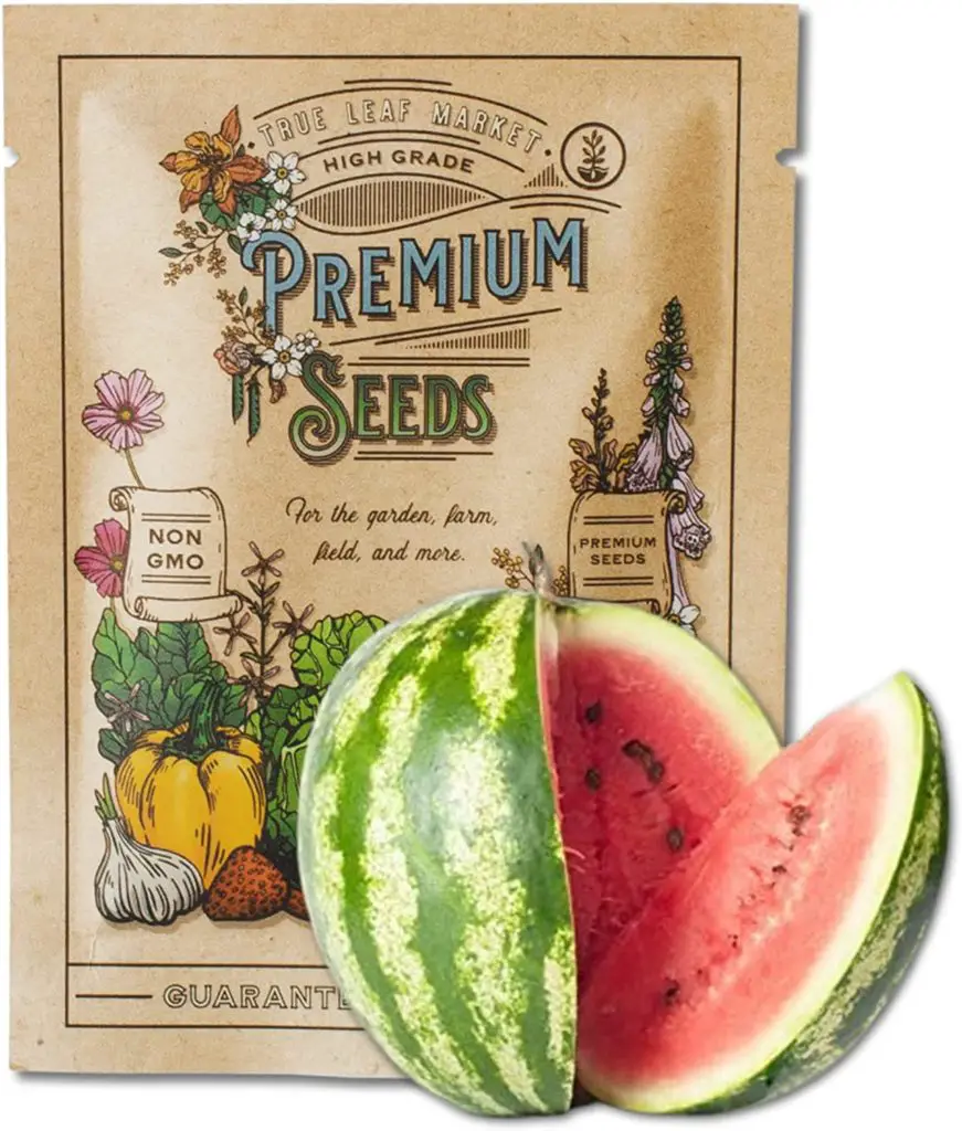 Watermelon Seeds,