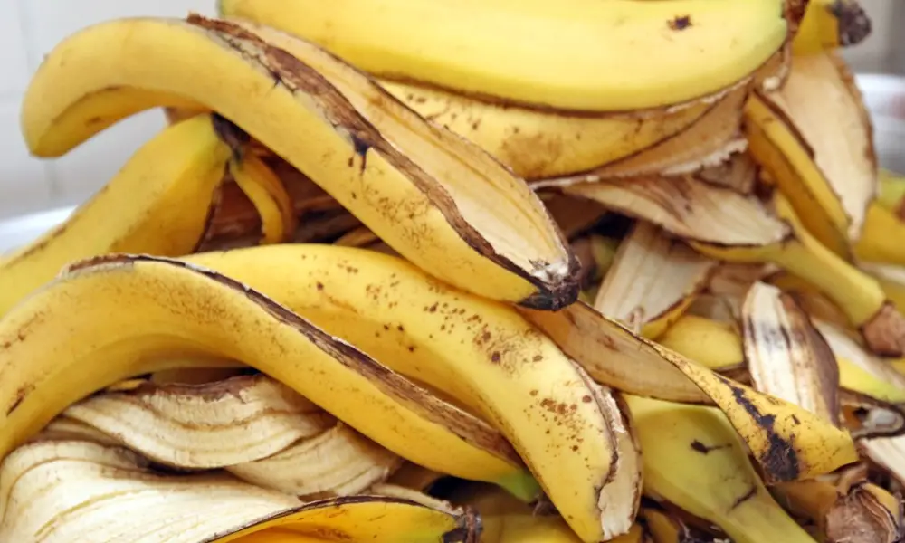 Is it Safe to Eat Banana Peels