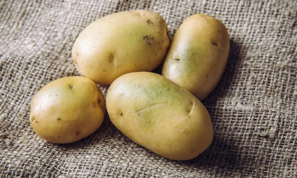 Is it Safe to Eat Green Potatoes