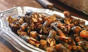 Can You Eat Barnacles?
